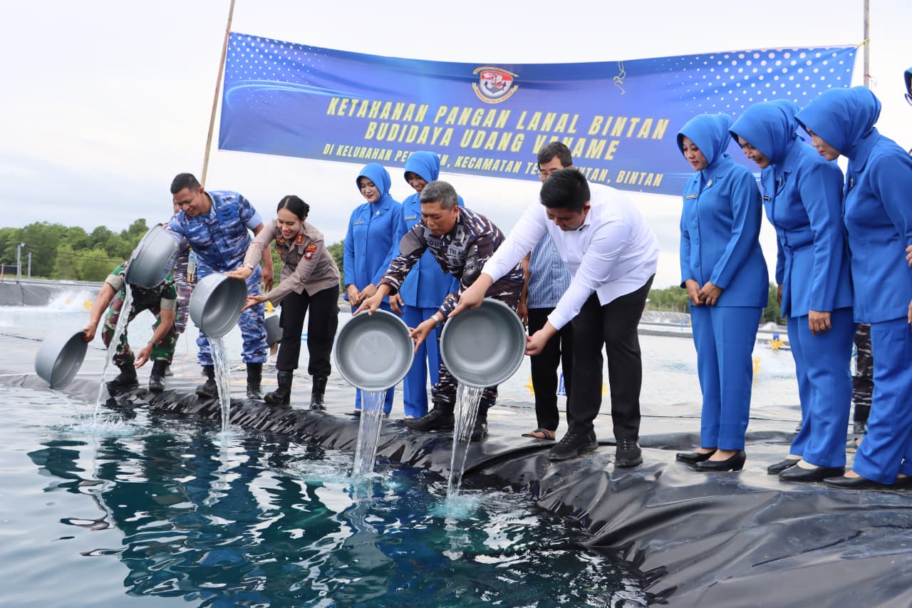 Bupati Roby Tabur Benih Udang Vaname di Tambak Ketahanan Pangan LANAL Bintan, Proyeksi Panen 4,2 Ton