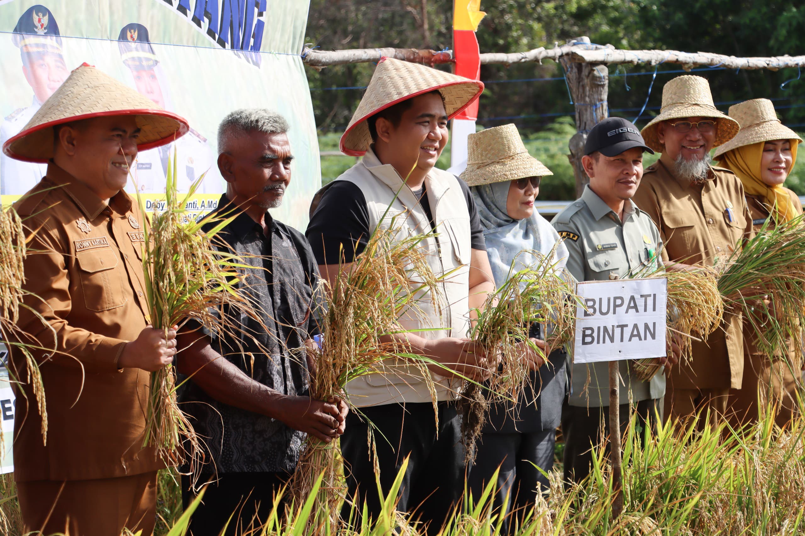 Perkuat Ketahanan Pangan, Bupati Roby Panen Perdana Padi Gogo Bersama Petani Maju Jaya